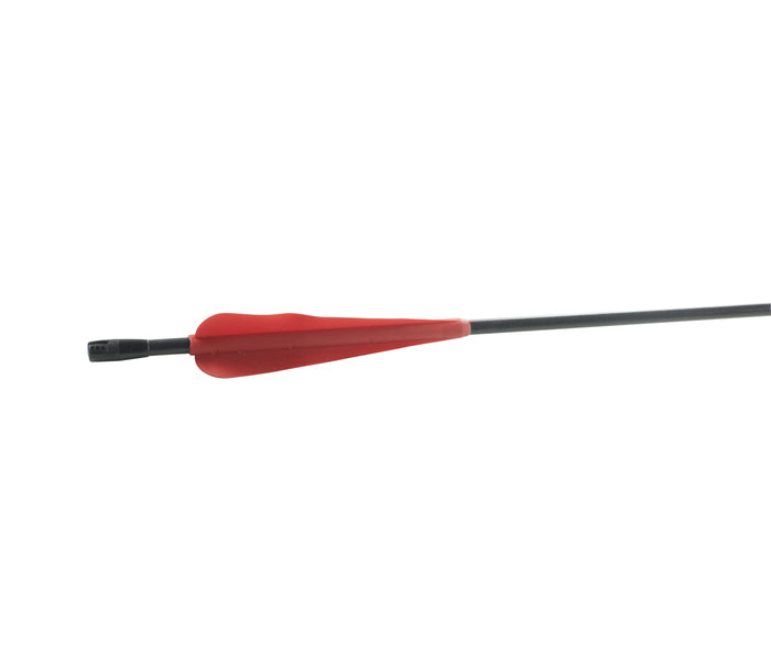 Beier Arrow Archery Tag